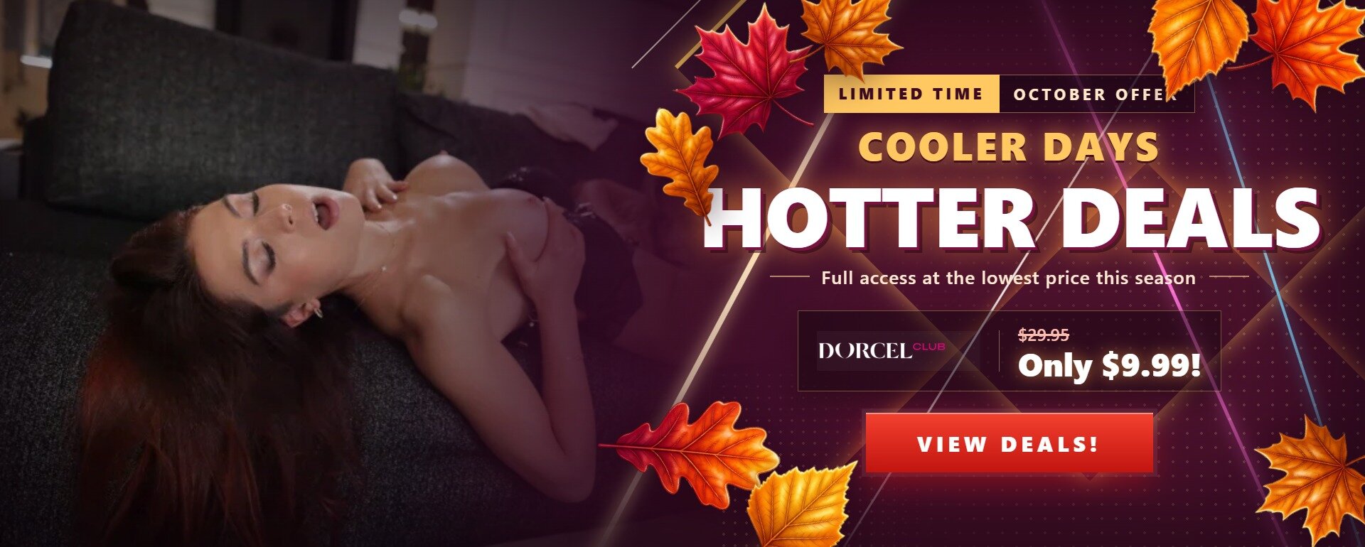 Fall Promotional Banner