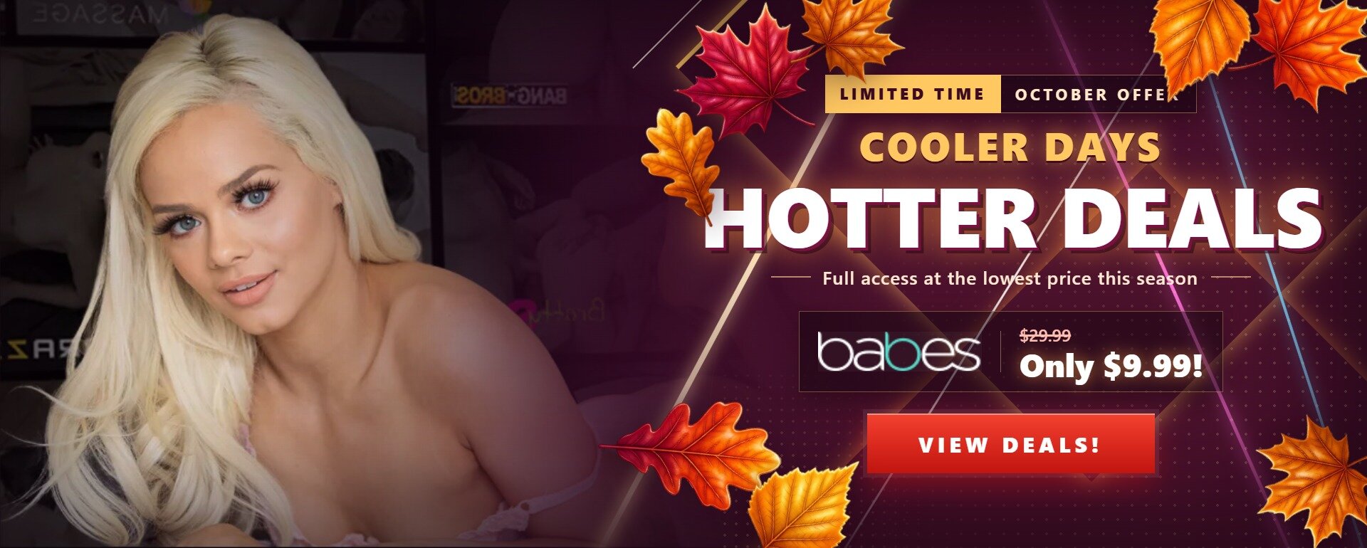 Fall Promotional Banner