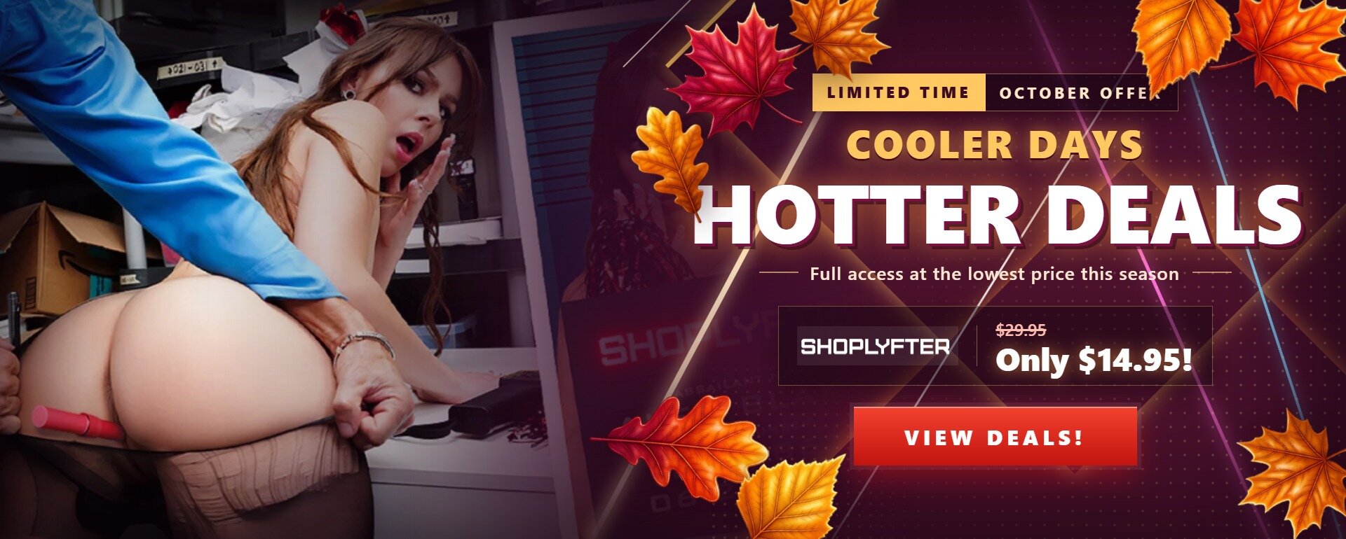 Fall Promotional Banner
