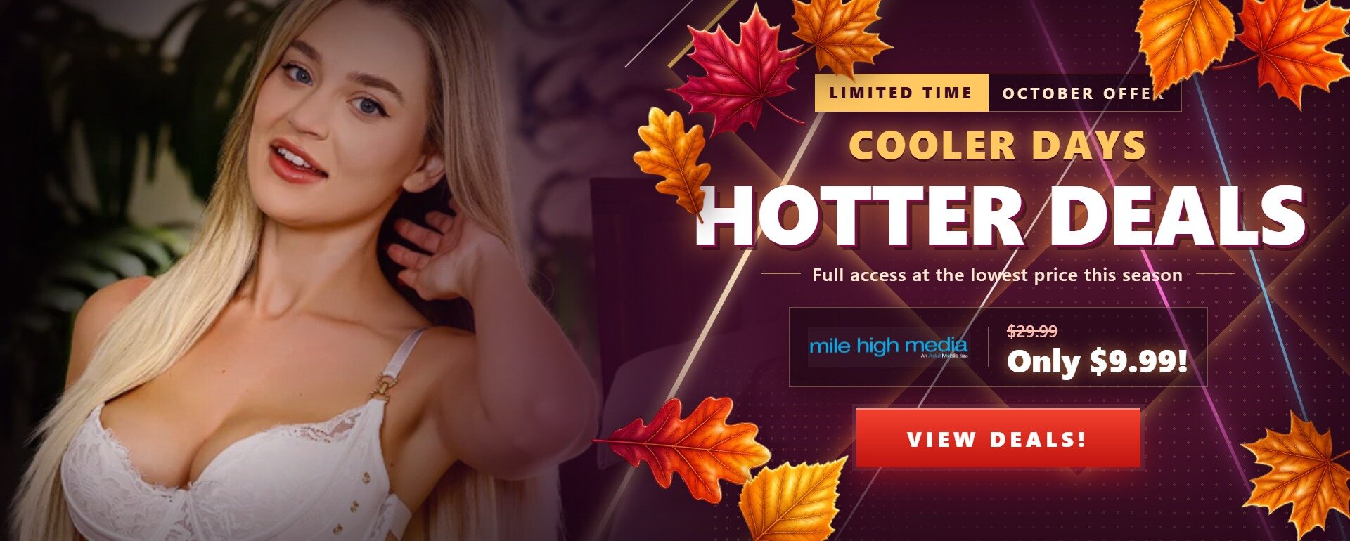 Fall Promotional Banner