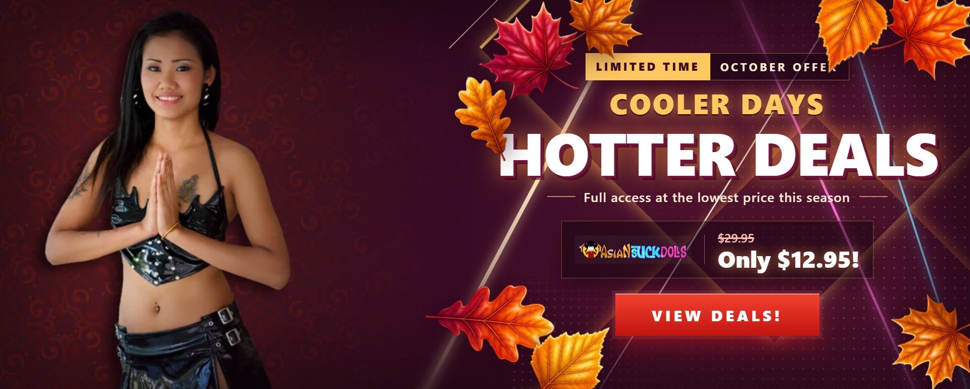 Fall Promotional Banner
