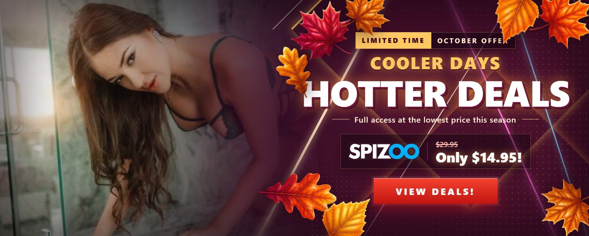 Fall Promotional Banner