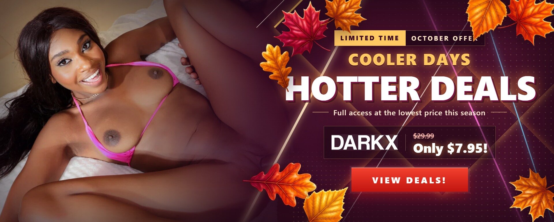 Fall Promotional Banner