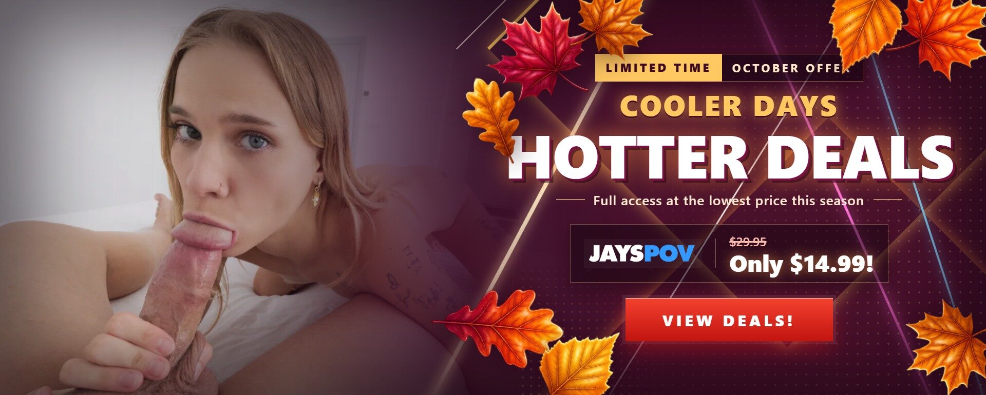 Fall Promotional Banner